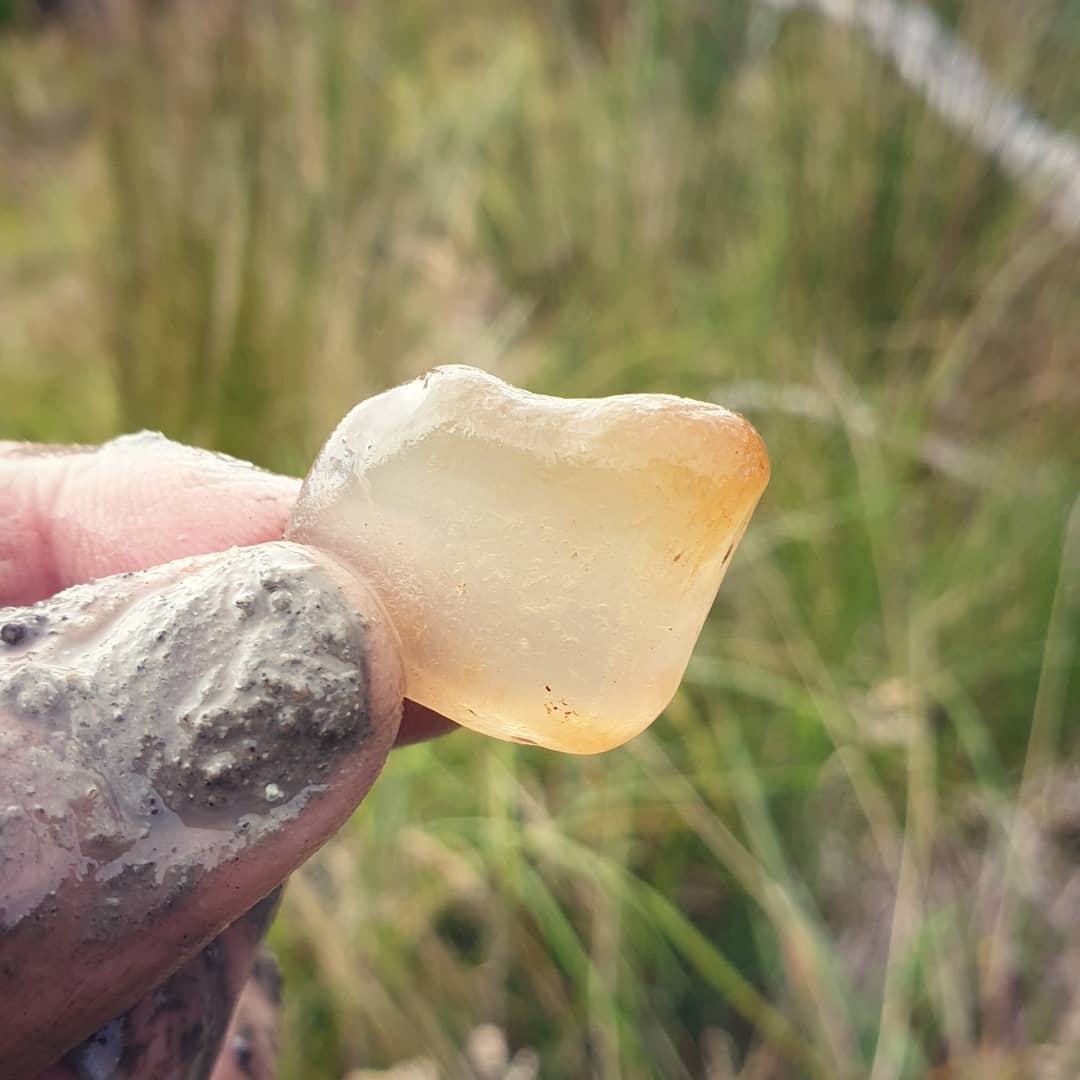 A very smooth chalcedony pebble I found in the mountains of South Canterbury, maybe a gastrolith from a bird such as a Moa 🤔

All the other rocks in the area were jagged and unrounded so this one really stood out.

           