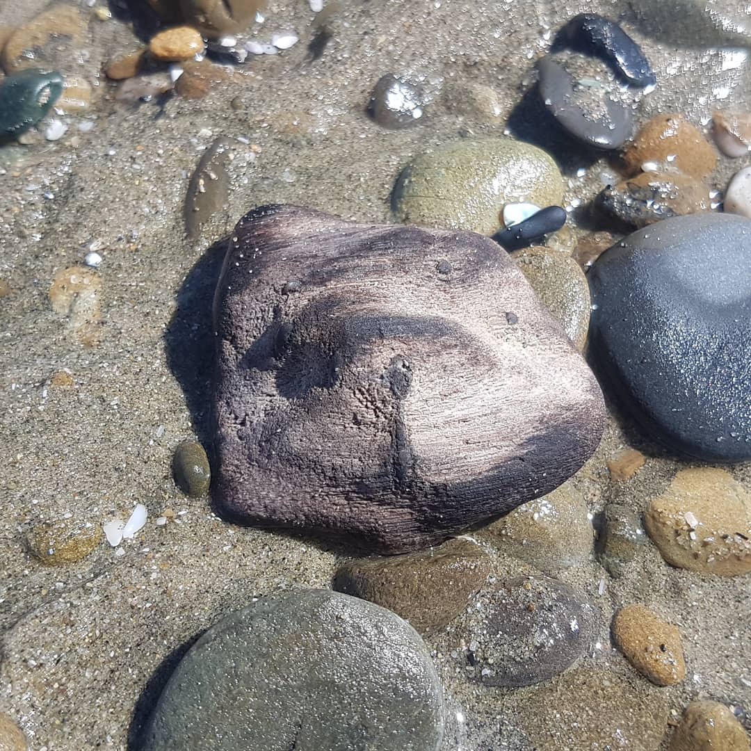 Out for a walk on the beach and stumbled across this beautiful piece of petrified wood 😁 maybe there are other fossils around as well 🤔

      