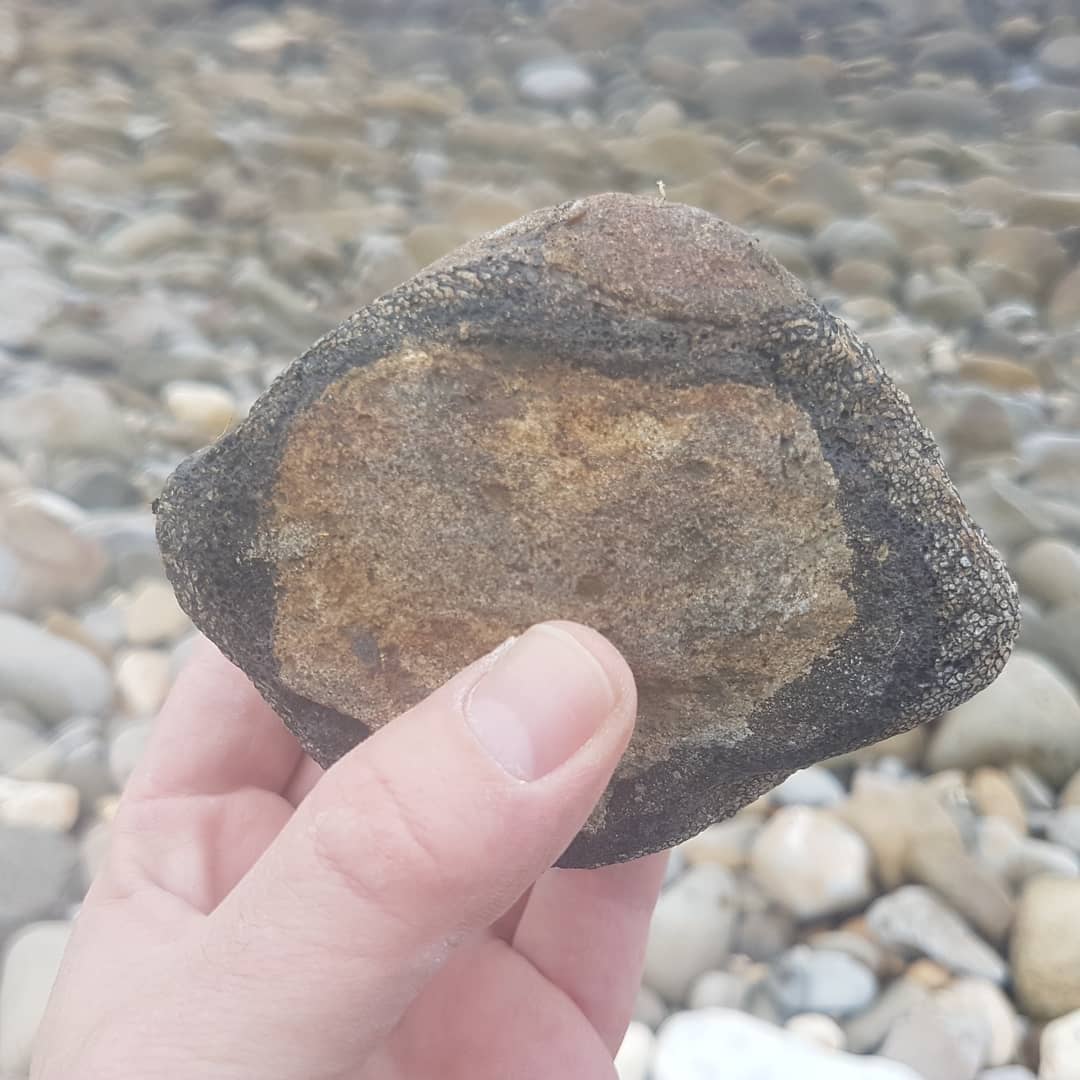 Cretaceous vert! I'm guessing plesiosaur by the lack of a concave side. This is my biggest one yet, it must have been quite beast of a plesiosaur 😁

I had a great day out with @jordonz_gemz. It's always fun to hunt with such enthusiastic people!

       