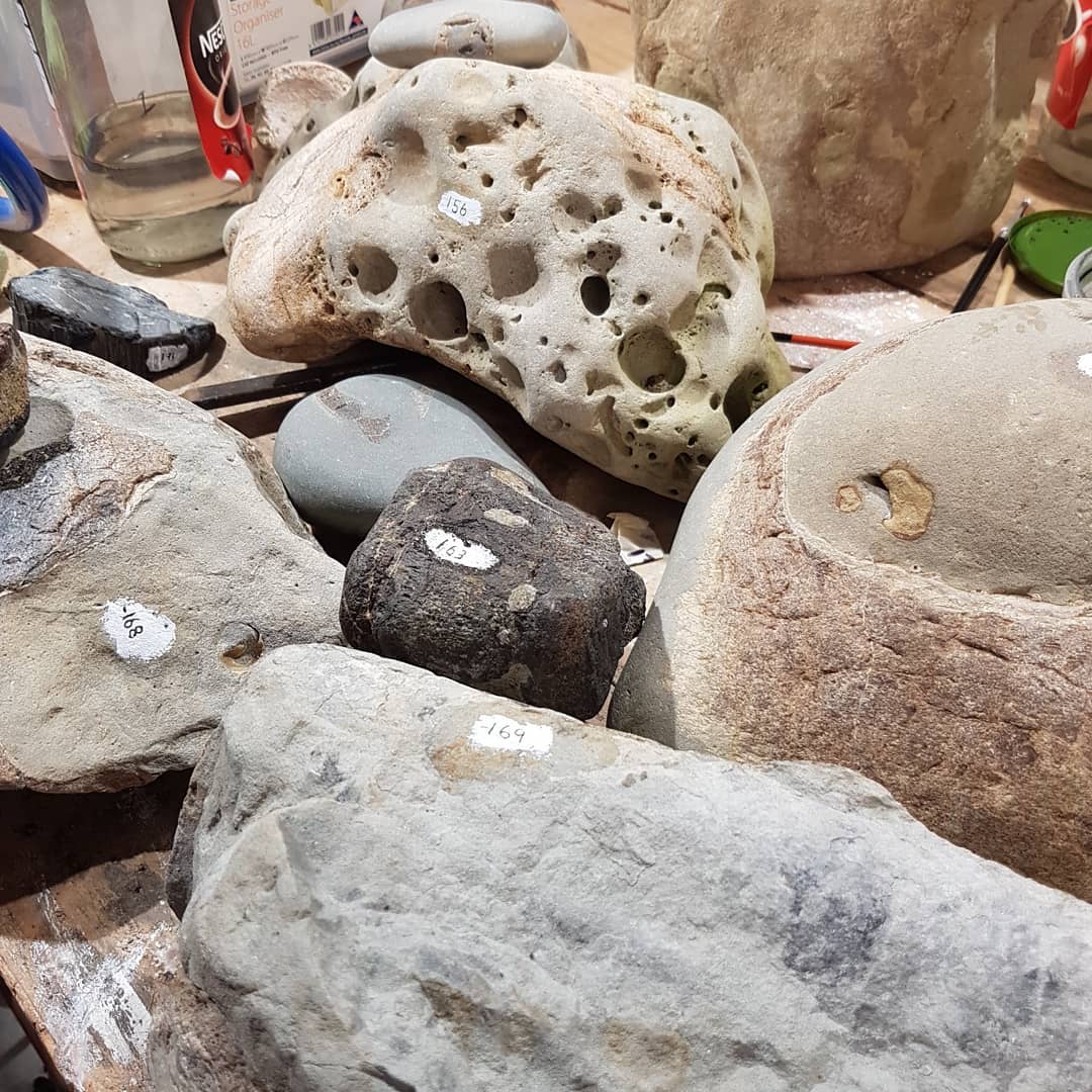 A productive evening spent cataloging my finds, it's so easy to fall behind! I put a layer of paraloid on, then some titanium oxide based paint for extra contrast if needed and finally I write the number on using India ink and a dipping pen.

Check out my website to see my online collection grow. Mamlambofossils.com 😁

       