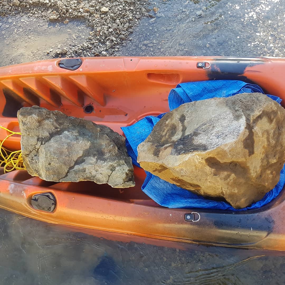 Biiiiig fossil retrieval! I found one of these large concretions containing some Cretaceous bone a while back and had to wait for the river to rise so I could float them down.

Turns out there were two of these rocks in the river 😂 I tried to get them both back home, my poor little boat!

I'm thinking some kind of limb bone? If anyone knows what it could be, please let me know.

The full adventure is on YouTube and has quite a bit of drama 😂

         