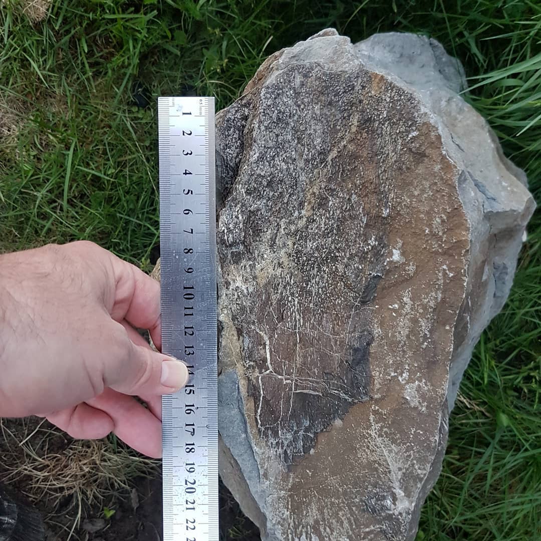 Biiiiig fossil retrieval! I found one of these large concretions containing some Cretaceous bone a while back and had to wait for the river to rise so I could float them down.

Turns out there were two of these rocks in the river 😂 I tried to get them both back home, my poor little boat!

I'm thinking some kind of limb bone? If anyone knows what it could be, please let me know.

The full adventure is on YouTube and has quite a bit of drama 😂

         