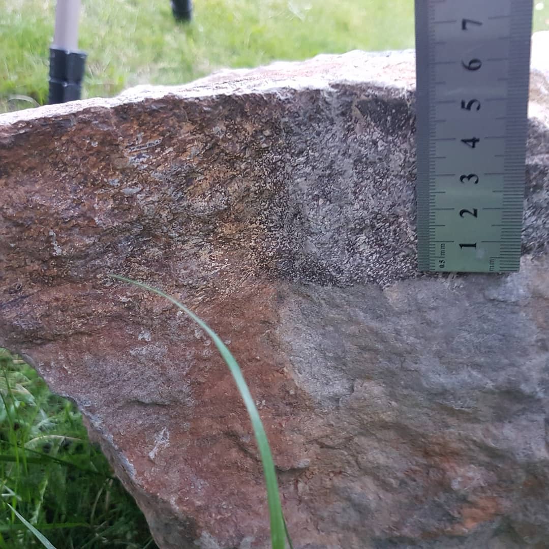 Biiiiig fossil retrieval! I found one of these large concretions containing some Cretaceous bone a while back and had to wait for the river to rise so I could float them down.

Turns out there were two of these rocks in the river 😂 I tried to get them both back home, my poor little boat!

I'm thinking some kind of limb bone? If anyone knows what it could be, please let me know.

The full adventure is on YouTube and has quite a bit of drama 😂

         