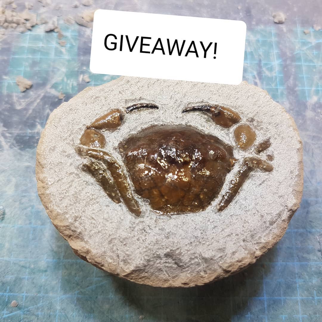 Giveaway time on my YouTube channel. Go over to YouTube.com/mamlambo and watch the prep of this crab, subscribe and guess the weight of the prepped fossil to win it 😁

       