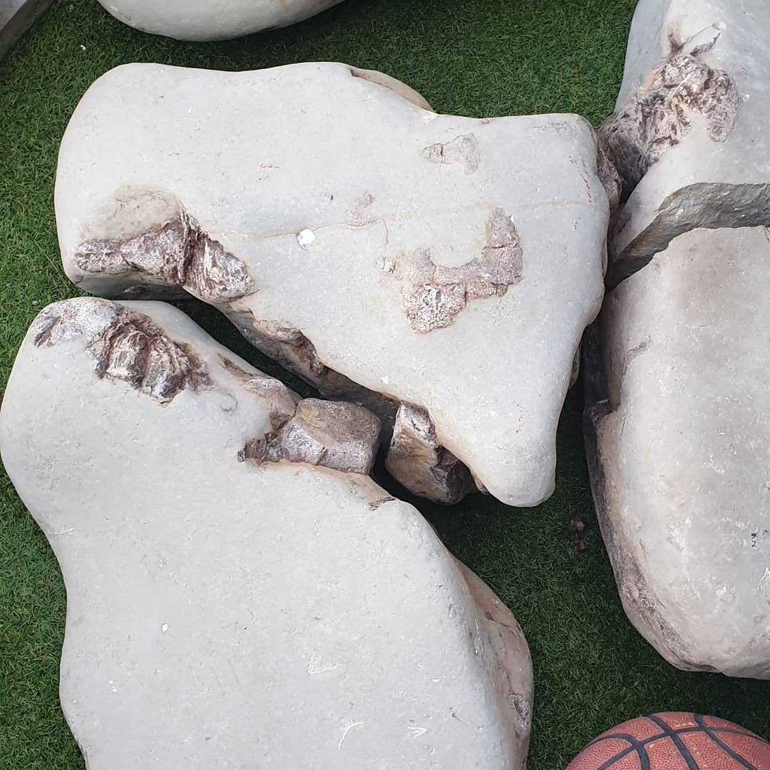 Progress on my fossil whale jigsaw puzzle 😆 its sitting at 250kg so far (550lbs) and it's still missing two parts that I can see. 

It contains the back part of a whale skull including the very diagnostic ear bones. It could help shed some light on the Mid Miocene whale species that were around New Zealand.

I think I have 5 partial whale skulls in my garden now 🤣

            