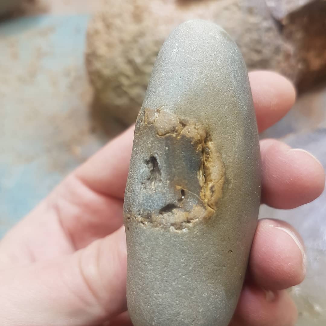 I found this strange fossil yesterday and was hoping the shark tooth experts out there could shed some light on it. Could this be a partial root?

       