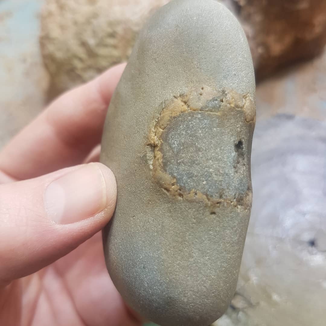 I found this strange fossil yesterday and was hoping the shark tooth experts out there could shed some light on it. Could this be a partial root?

       