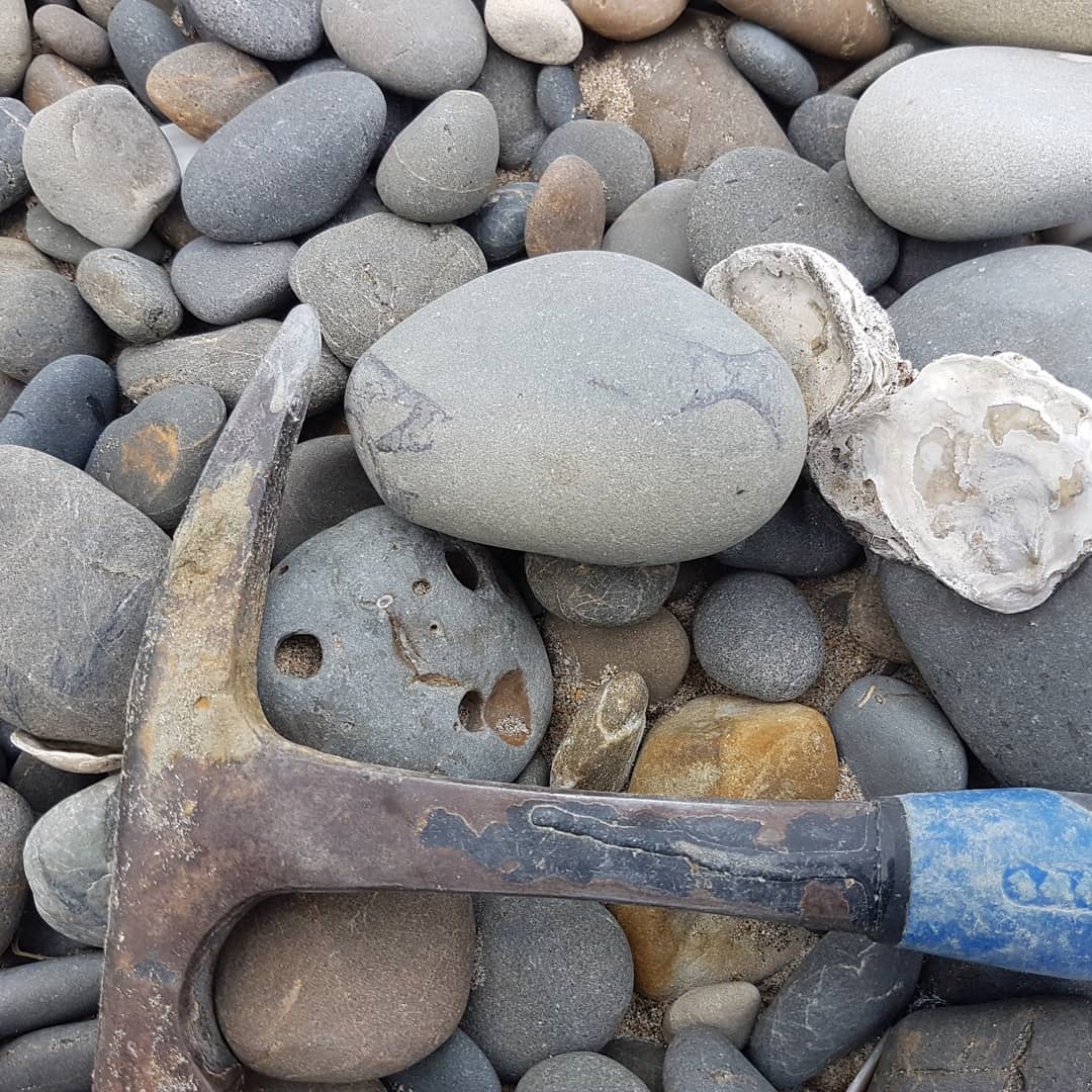 A nice shark vertebrae concretion, so many verts in there... hopefully a tooth or two as well 😁