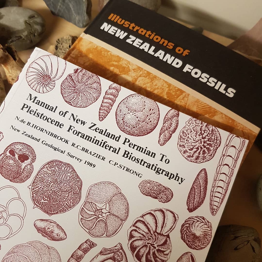 My New Zealand fossil books arrived! Hoping to use the forams to date the layer the shark teeth was found in, thanks @paleo_craig for your help with this.

These books are available from the @gnsscience website as. Shipping was really quick, one business day after ordering!

       