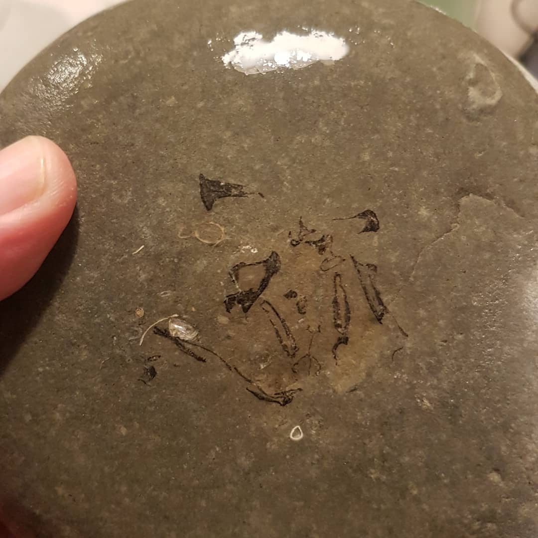 Time to play my favourite Sunday night game, fish-or-not-fish, with my latest fossil find 😁 found this little bone cluster yesterday and the there appears to be a very definite joint in the one section.

So vertebrate fossil experts, please let me know what you think 😀

Found in a Miocene coastal deposit

         