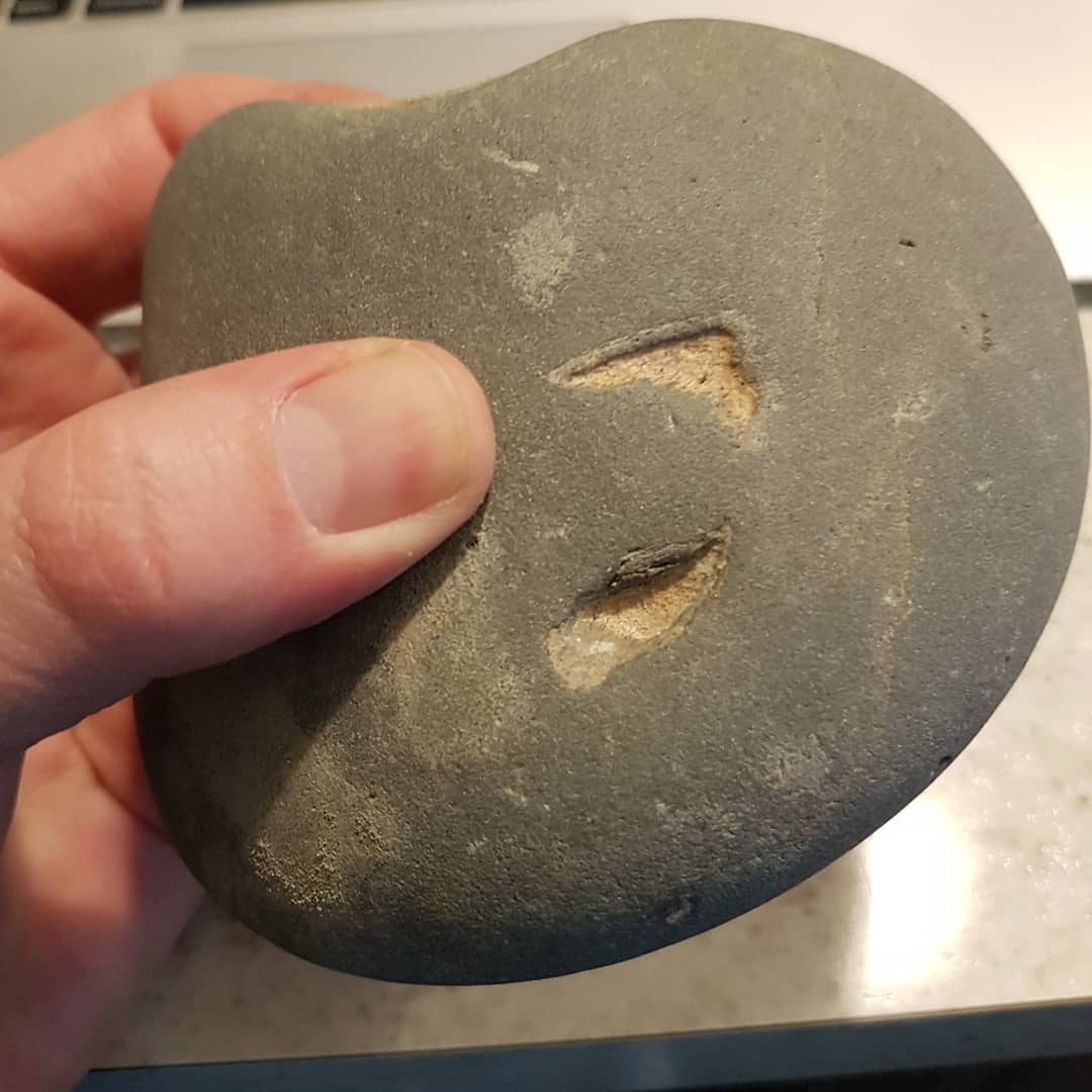 I think I found my third ever cetacean ear bone! This looks to be the worn bulla of what I am guessing is a whale based on the size. Swipe for the back view of the rock which looks to have some other bones in it.

           