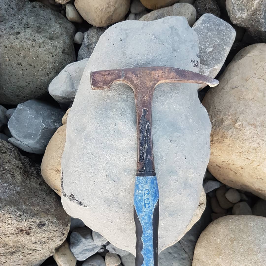 Early morning session produced this mystery piece. Looks fishy 🤔 leave a comment if you have any idea please 🤞 found in a Miocene coastal deposit here in New Zealand

          