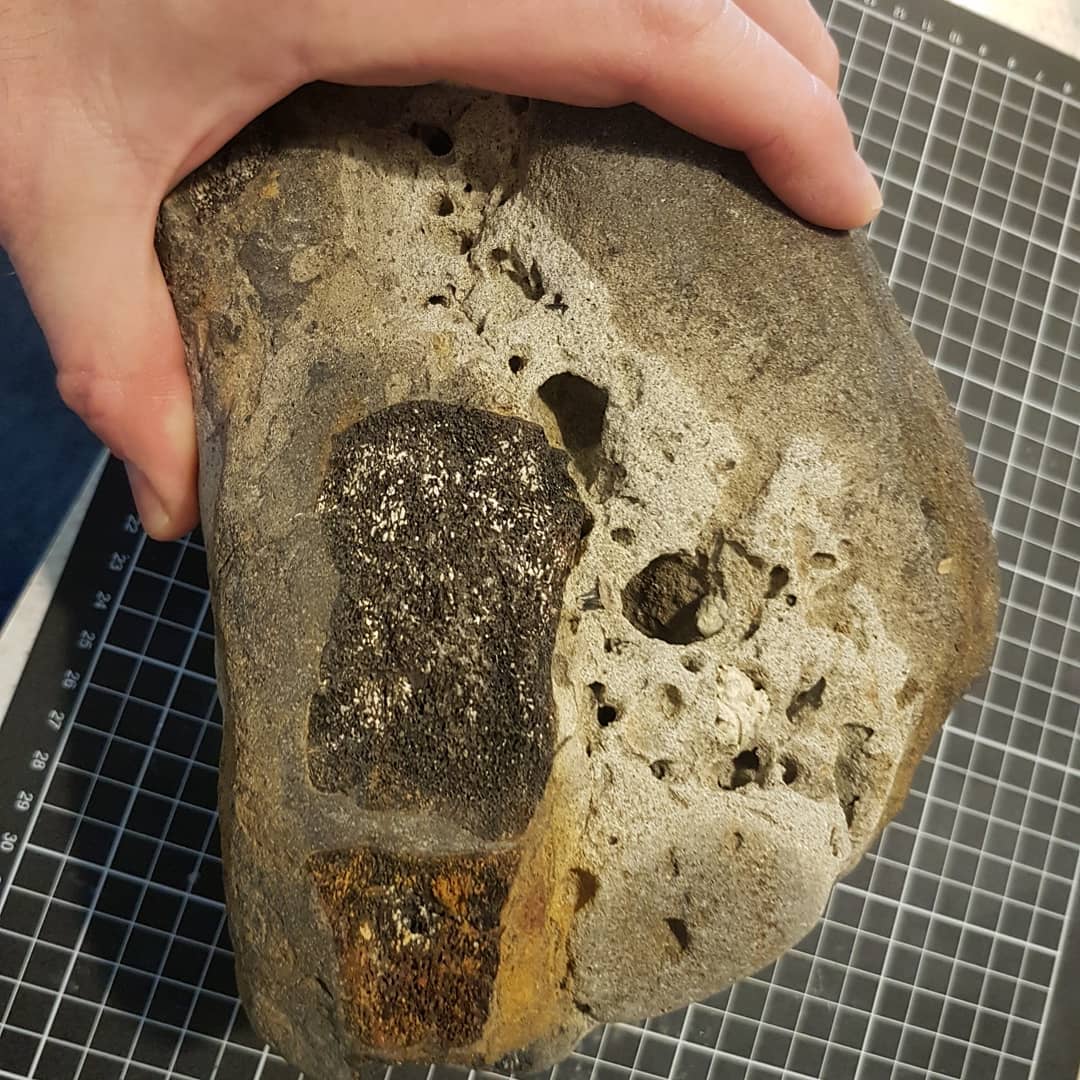 I'm re-looking at a block of Cretaceous bones I found earlier in the year. I thought it could have been paddle bones at first but now I'm thinking they look more like vertebrae after someone pointed it out. Any plesiosaur or mosasaur experts out there that can help me out?

         