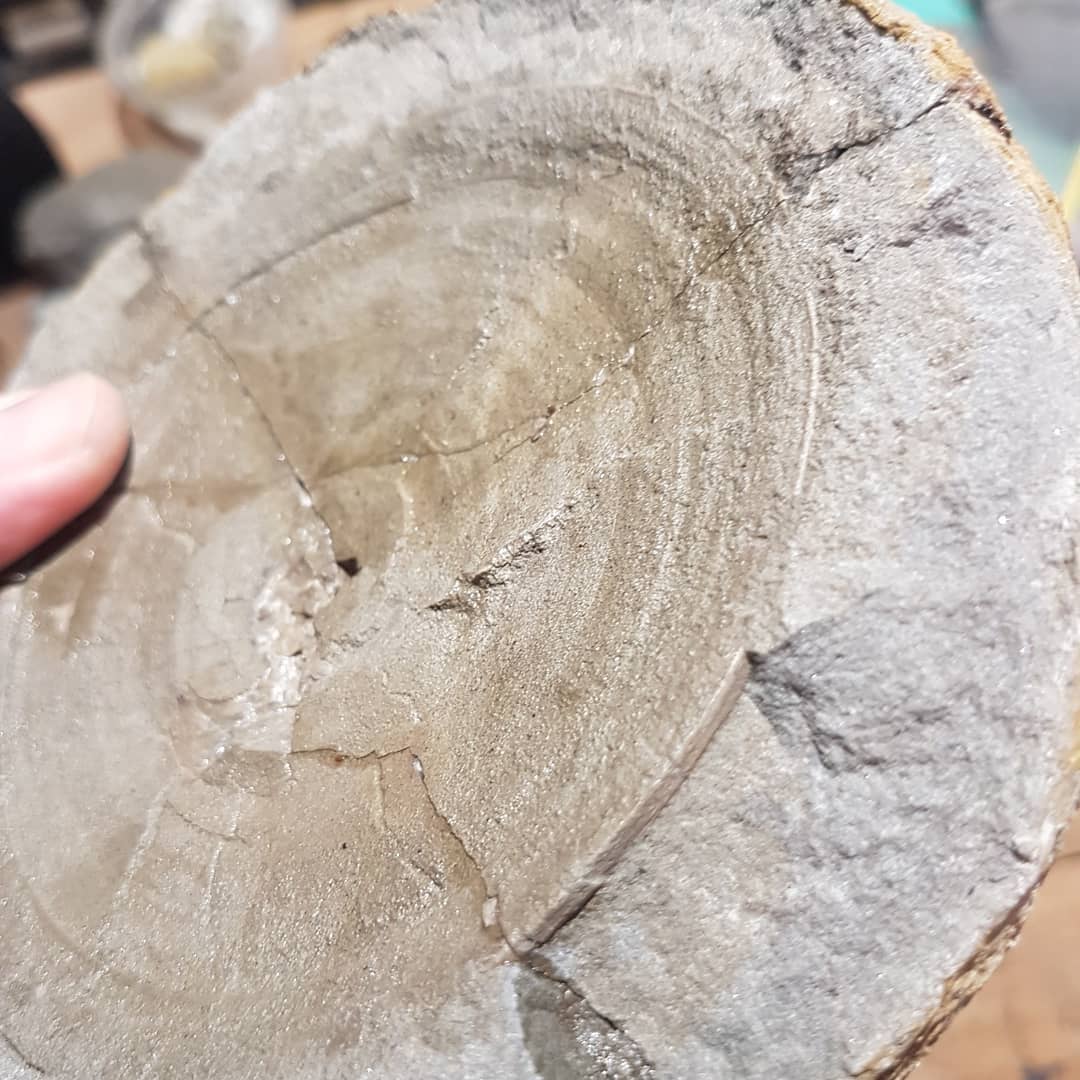 Surprise vert! Another large vert possibly from the same shark as the previous post. I took this concretion home, not expecting much from it. It's from the paleocene era. Swipe to see the concretion before I knocked it open. There are some perfect moulds of the vert visible on the other pieces.

Check out the full video on my YouTube account. Link in bio or search for "mamlambo fossils"

         