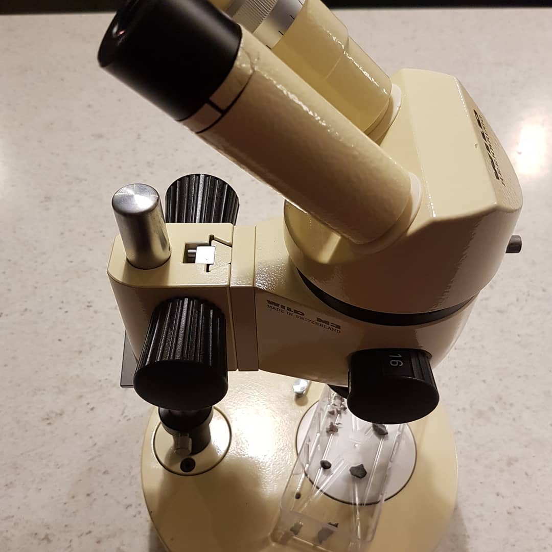 I managed to get this amazing microscope on an auction 😍 it has such clear optics, really makes the shark teeth come alive! I'm going to attach it to an metal arm / boom so I can use it to prep really delicate fossils. Swipe for some test pics of teeth I recently found.

        