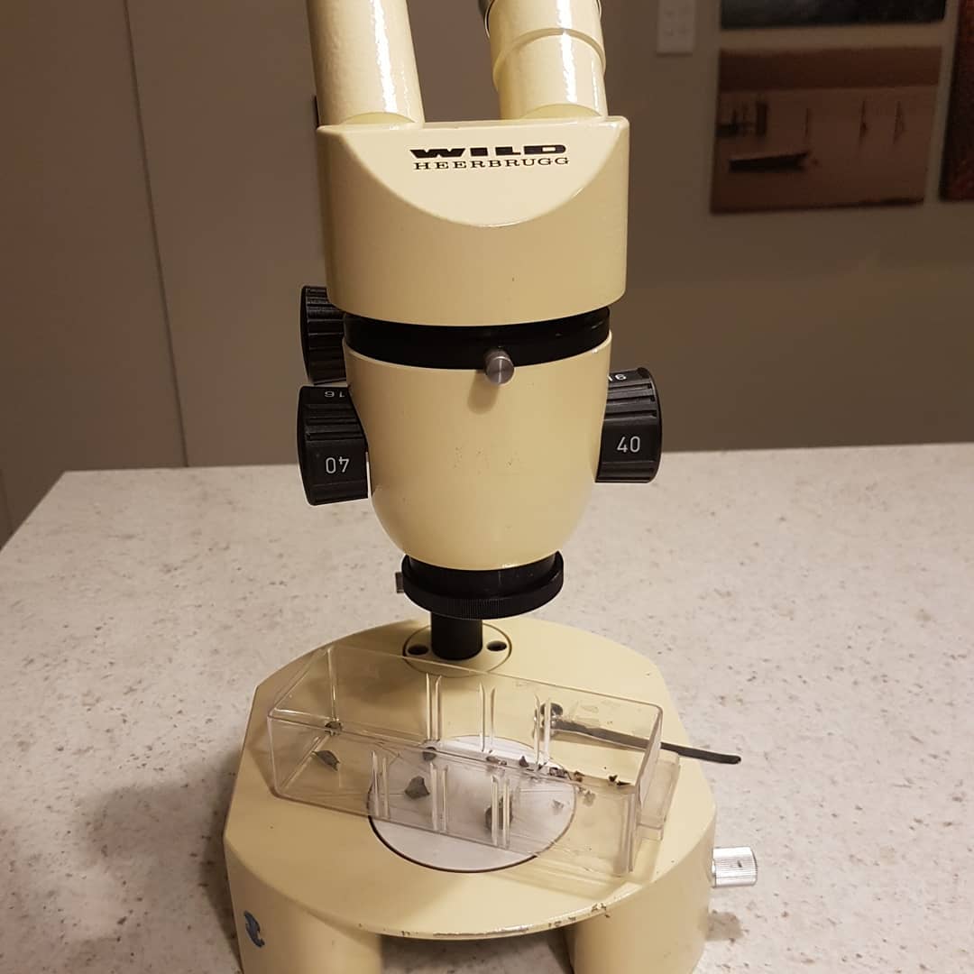 I managed to get this amazing microscope on an auction 😍 it has such clear optics, really makes the shark teeth come alive! I'm going to attach it to an metal arm / boom so I can use it to prep really delicate fossils. Swipe for some test pics of teeth I recently found.

        