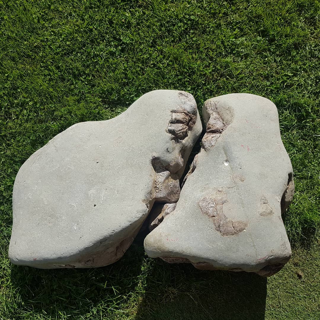 Some close-ups of two of the bone blocks I carried back which looks to contain the back part of a whale skull. They were about 5 meters apart but look to fit together quite well.

One of the blocks have the earbones still in position 😀 they weigh 102kg (220lbs) together, hopefully the other half of it is still out there somewhere 🤞

              