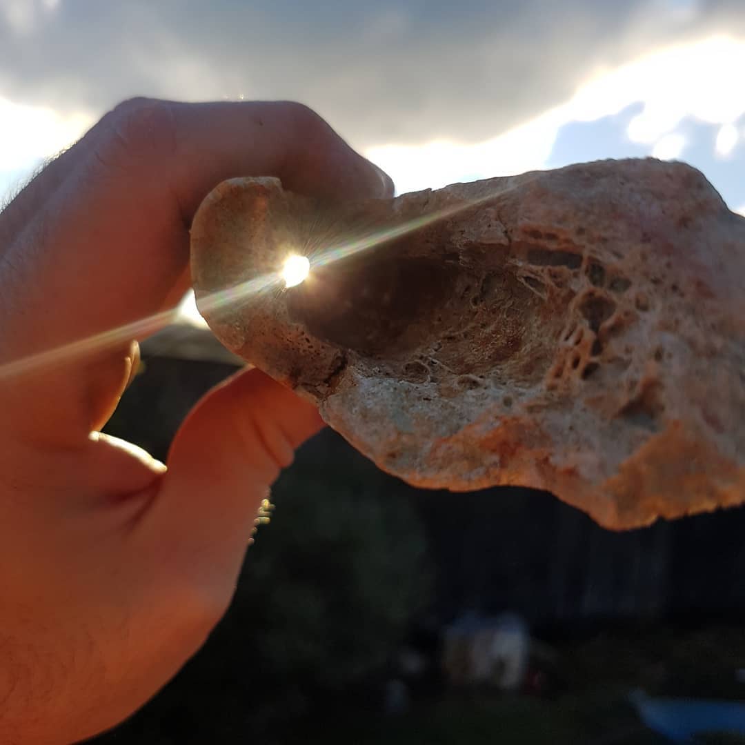 My biggest piece of Moa bone yet! Fossilized as well, just about 26cm long and weighs 0.5kg. That's pretty much 1ft long and weighs 1 lbs 😁 
Found it in my latest video which is up, link in my bio.

Thinking it could be a section of tibiatarsus.

Might soon have enough bits for a complete leg section 😁
I was in touch with a Moa expert and he might like to study it further so it might be heading to a new home soon. .
.
.
.
.
        