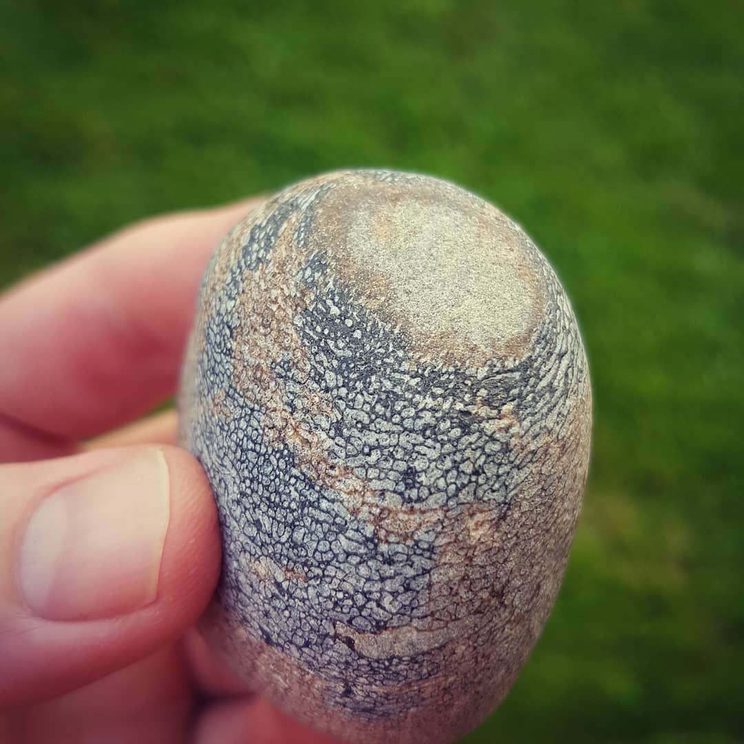 Here's a strange bit of Miocene beach deposit bone, it looks like it's forming a circle around that one point. Has anyone seen something like this before? Swipe for more pictures

       