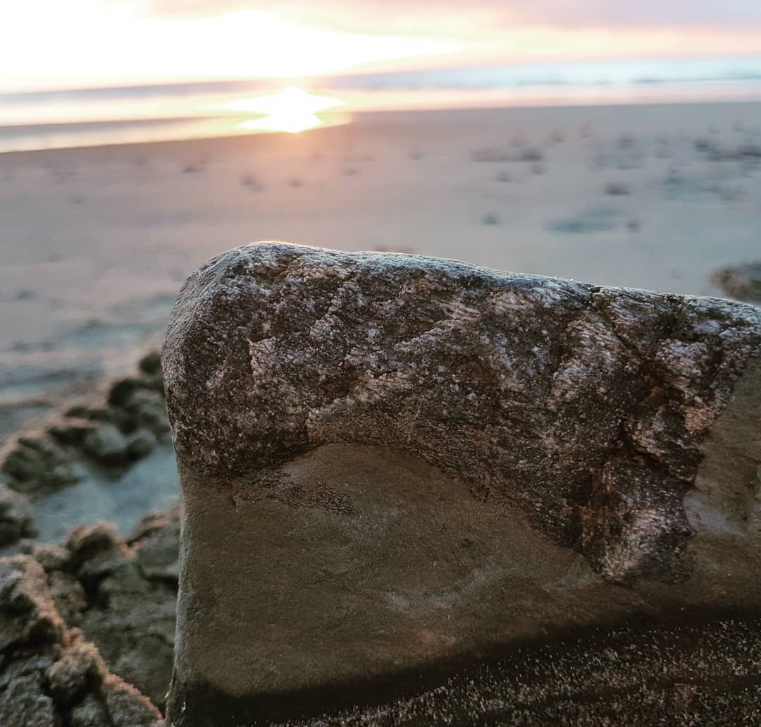 I'm a sucker for big pieces of cetacean bone, especially early in the morning with a beautiful sunrise 😁 
I just had to carry this one home. Guessing it's some whale bone from a Miocene deposit.

       