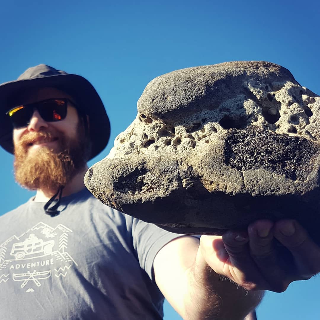 New video up of me finding this section of cretaceous marine reptile paddle bone. Guessing plesiosaurus or mosasaurus.

The associated paddle bones are so amazing! I can count 9 of them, perhaps more still hidden away.

           