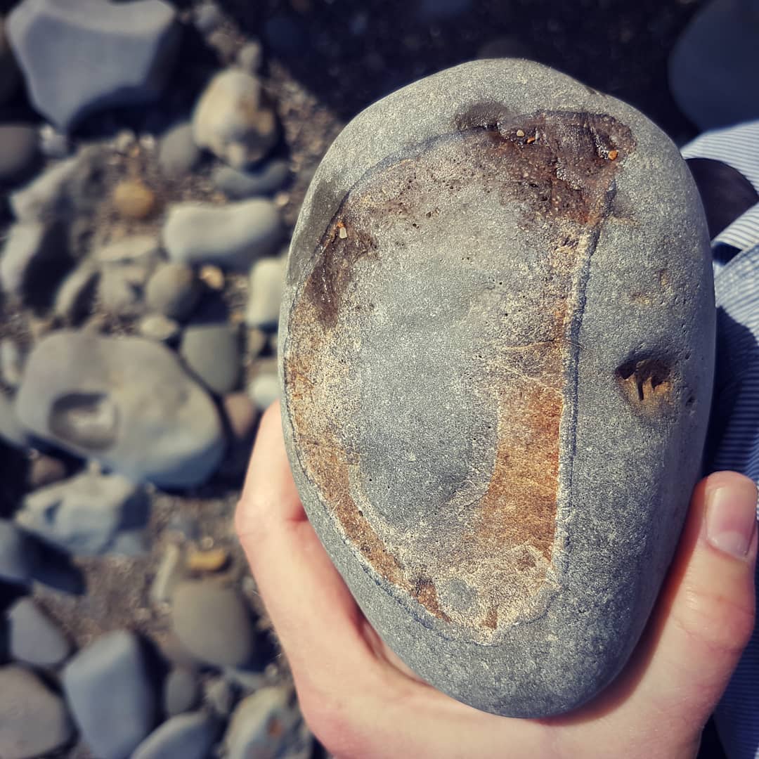 Strange section of whale bone I found, not sure what part I'm looking at 😁 anyone want to take a guess?

Miocene deposit in New Zealand.

        