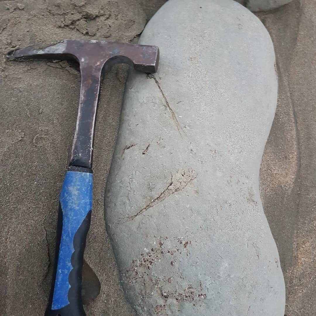 Just got back from a sneaky midweek hunt where I found this 500mm concretion with quite strange bones sticking out.

Anyone have any idea what it could be? Miocene deposit in North Canterbury.

      