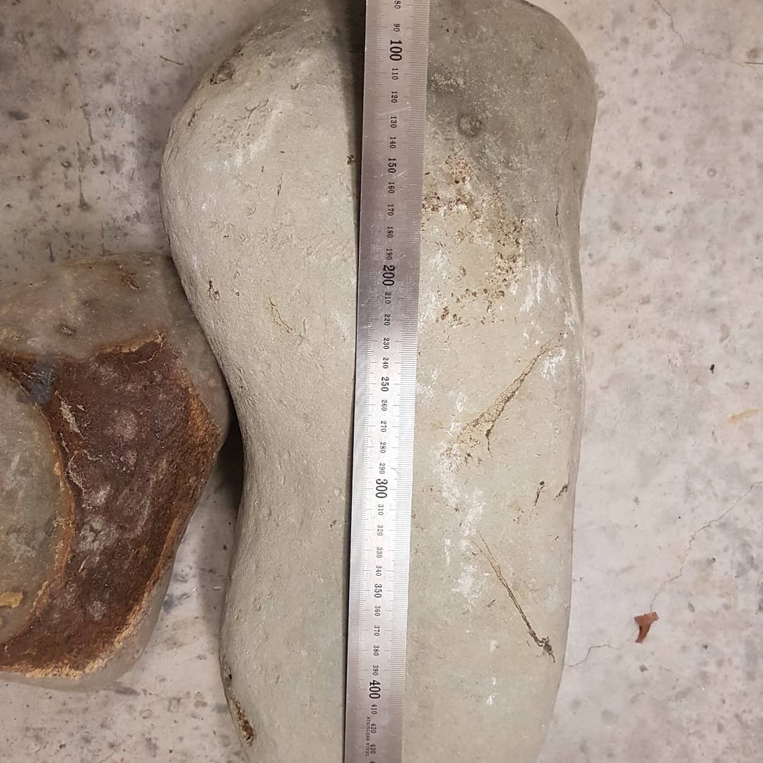 Just got back from a sneaky midweek hunt where I found this 500mm concretion with quite strange bones sticking out.

Anyone have any idea what it could be? Miocene deposit in North Canterbury.

      