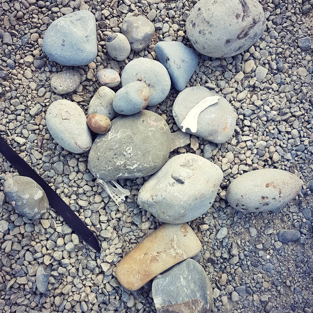 Today's fossil haul had a bit of everything. Crabs, whale bone, a seal jawbone and some unknowns that need investigating 😁

       