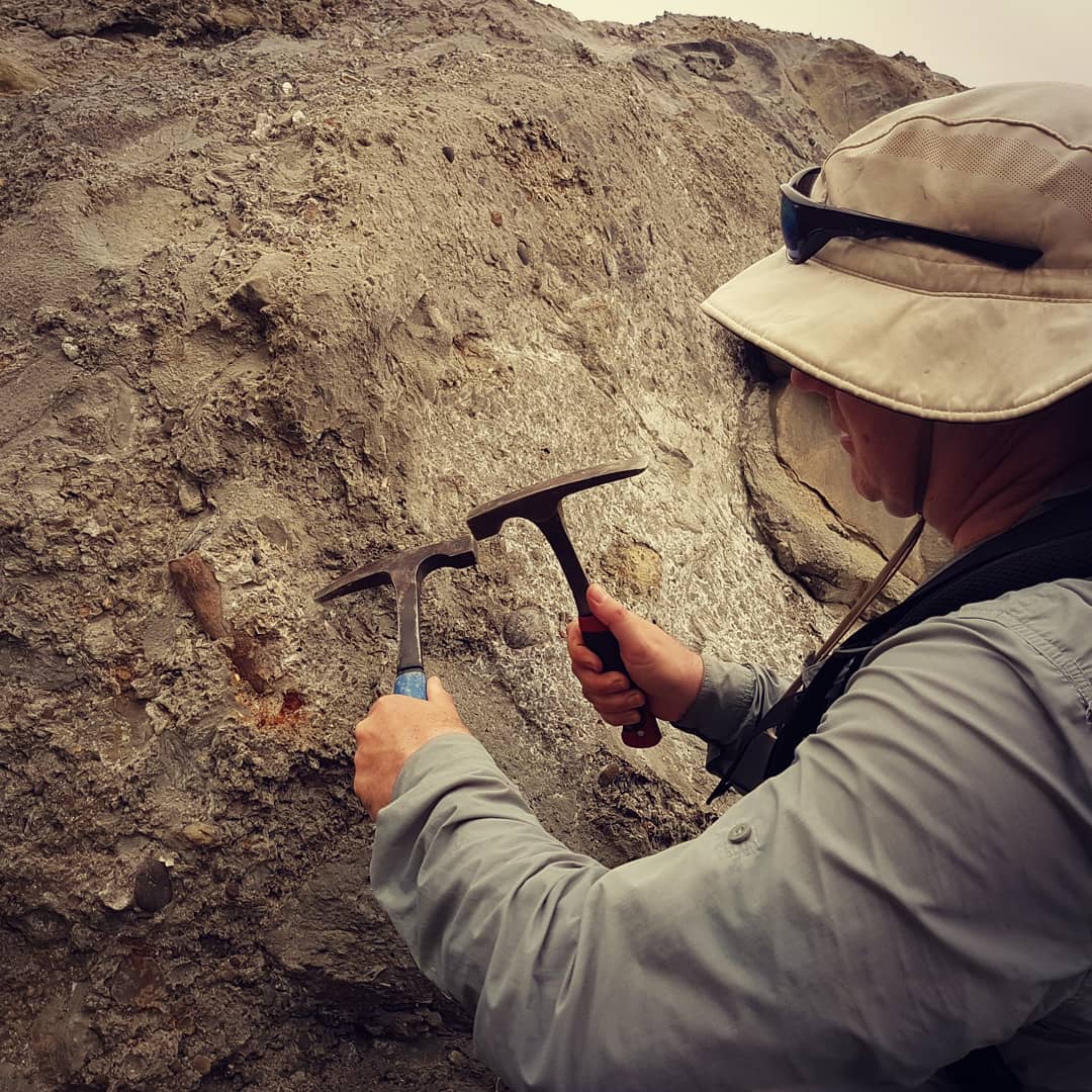 New video up! Day 1 of Craig (DrCraigWoodward on Twitter) and my overnight fossil hunt. Found so many great fossils including these shark teeth (swipe to see them) which might be from Dalatias 😁

We had some heavy smoke coverage from Australia on that day and you can really see the strange hue it gave the footage and photos.

           