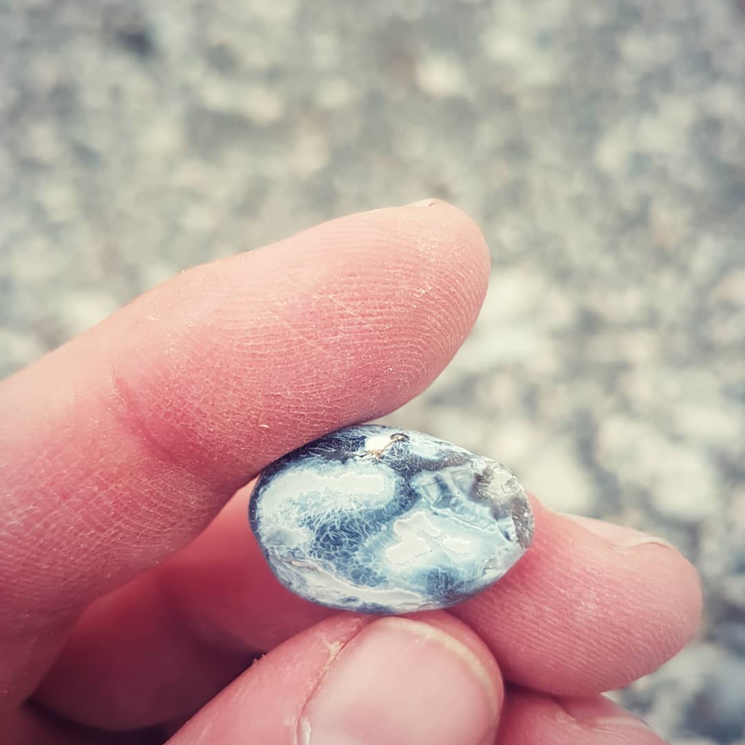 New video up! Day 1 of Craig (DrCraigWoodward on Twitter) and my overnight fossil hunt. Found so many great fossils including these shark teeth (swipe to see them) which might be from Dalatias 😁

We had some heavy smoke coverage from Australia on that day and you can really see the strange hue it gave the footage and photos.

           