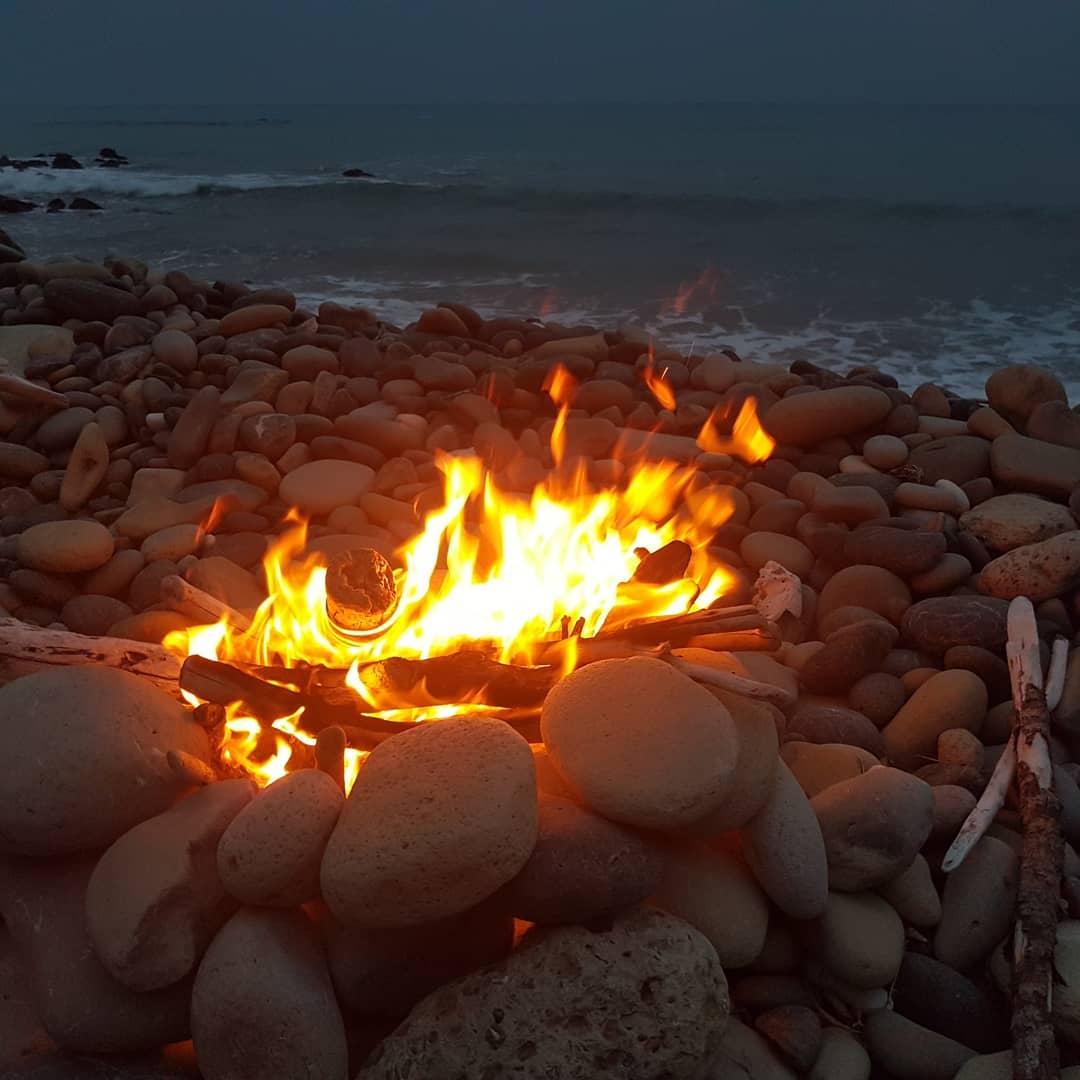 I just got back from an incredible 30km, overnight fossil hunt. We found some amazing fossils and had a great time exploring the coast.

It was great seeing the covers that people don't normally get to. Fossil finds included: crabs, dolphin skull with earbones, shark teeth (tiny though!), whale ear bones, articulated whale vertebrae, gastropods and an amazing fossil penguin found by Craig!

We even rescued a sheep stuck between two rocks 😁

Swipe for more pics.

                