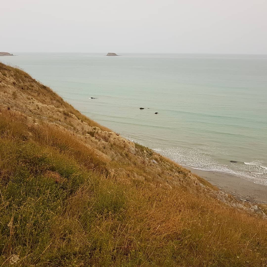 I just got back from an incredible 30km, overnight fossil hunt. We found some amazing fossils and had a great time exploring the coast.

It was great seeing the covers that people don't normally get to. Fossil finds included: crabs, dolphin skull with earbones, shark teeth (tiny though!), whale ear bones, articulated whale vertebrae, gastropods and an amazing fossil penguin found by Craig!

We even rescued a sheep stuck between two rocks 😁

Swipe for more pics.

                