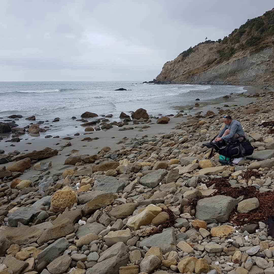 I just got back from an incredible 30km, overnight fossil hunt. We found some amazing fossils and had a great time exploring the coast.

It was great seeing the covers that people don't normally get to. Fossil finds included: crabs, dolphin skull with earbones, shark teeth (tiny though!), whale ear bones, articulated whale vertebrae, gastropods and an amazing fossil penguin found by Craig!

We even rescued a sheep stuck between two rocks 😁

Swipe for more pics.

                