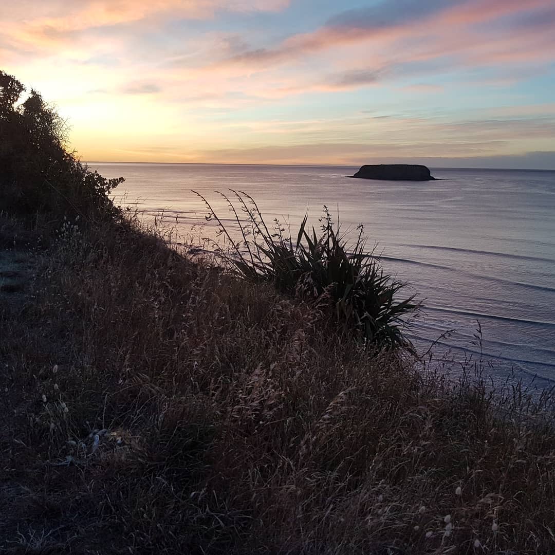 Motunua island this morning as I was on my way to fetch the whale skull.

         