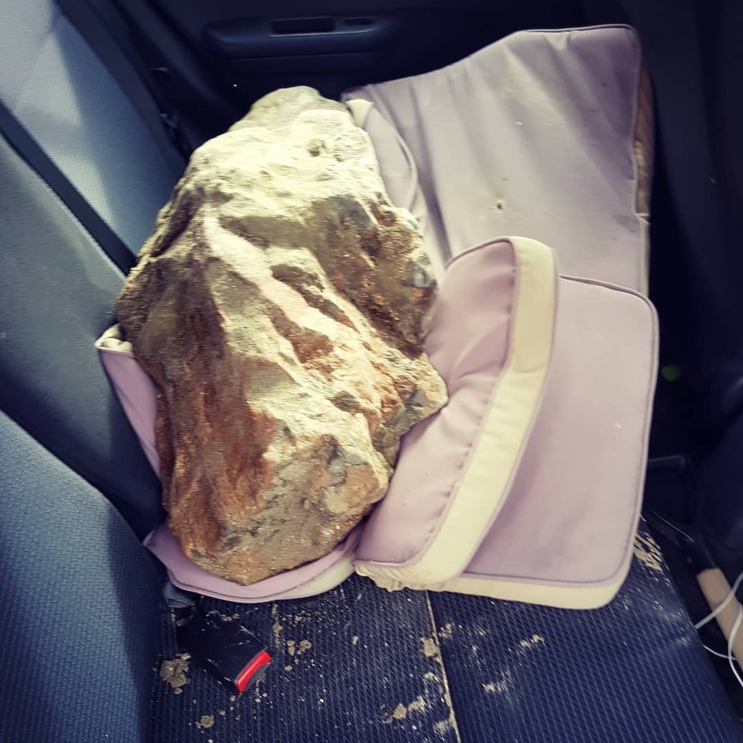 So it was a fossil whale skull! Got confirmation from the museum last night and went out this morning at 4am. What an adventure!

Took 4 hours to get it up the hill, my wagon broke in the process but somehow got it in my car! 
Another bucket list item - a fossil skull!! It's  probably from a smallish baleen whale and weighs about 150kg (330lbs).🐳🐋🐳 Video of this coming soon 😁

              