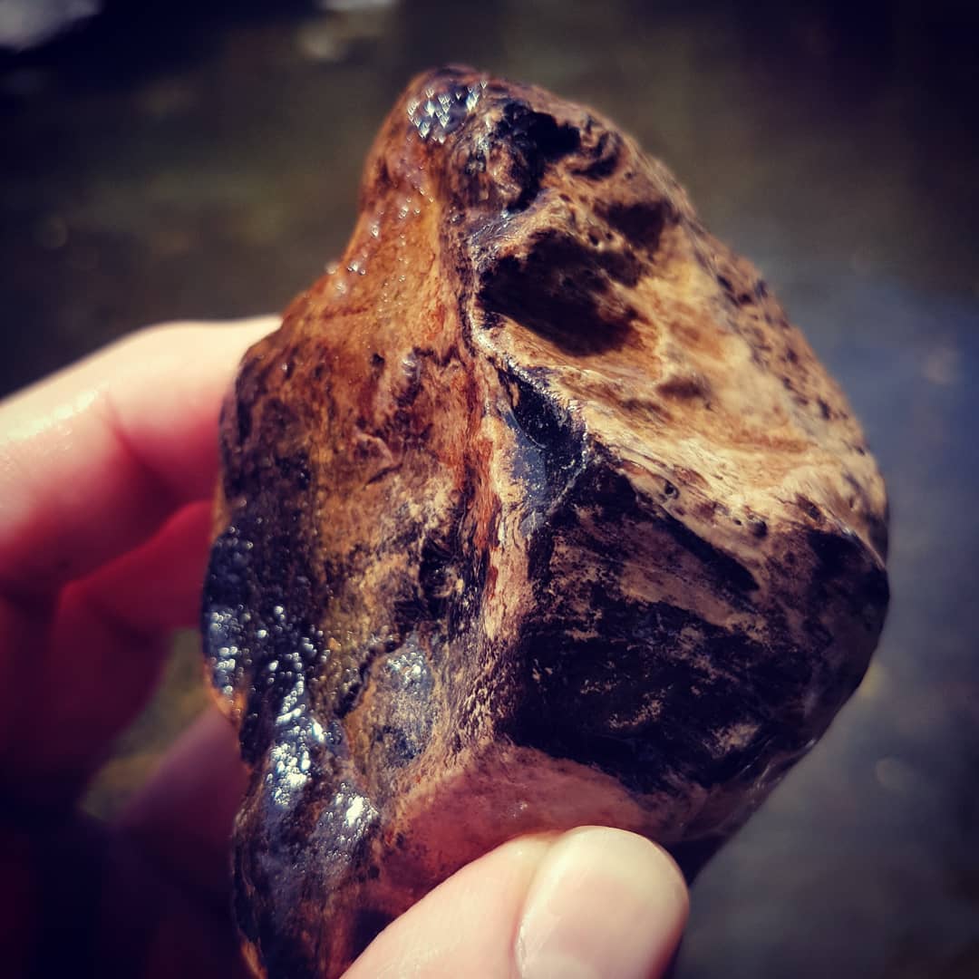 Petrified wood fresh from the river 😁 amazing detail and such heavily agatised sections.

       