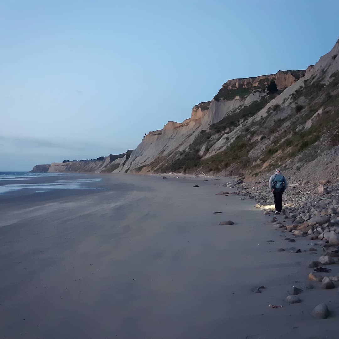 5am fossil hunt, the camera makes the sky look way lighter than it was! Nothing beats beating outside for a summer sunrise 😁

Photo by @hdsoftail96

       