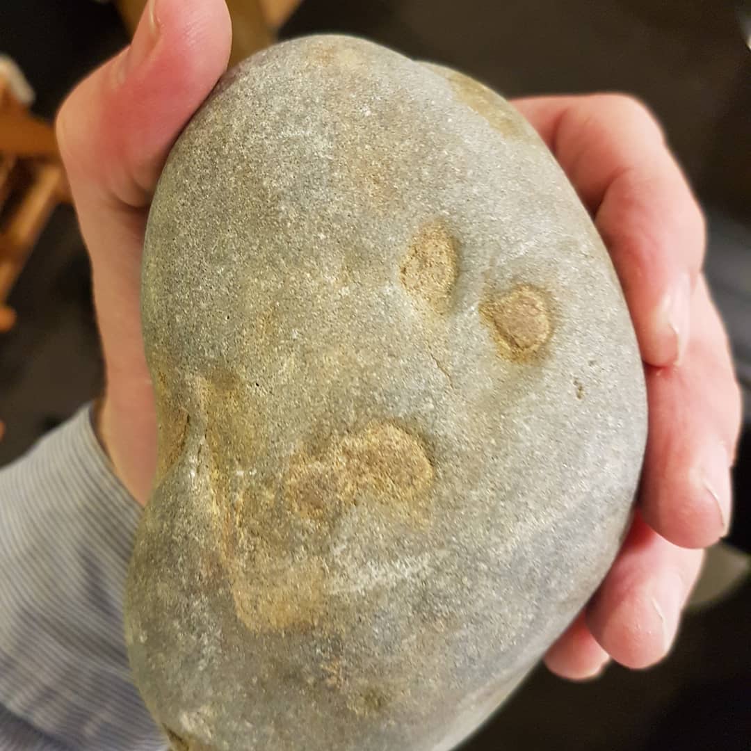 I need some help with this one. I found this concretion yesterday and I'm thinking it might be a small bone cluster, maybe cetacean. Anyone recognize anything in it?

Miocene coastal deposit. 
          