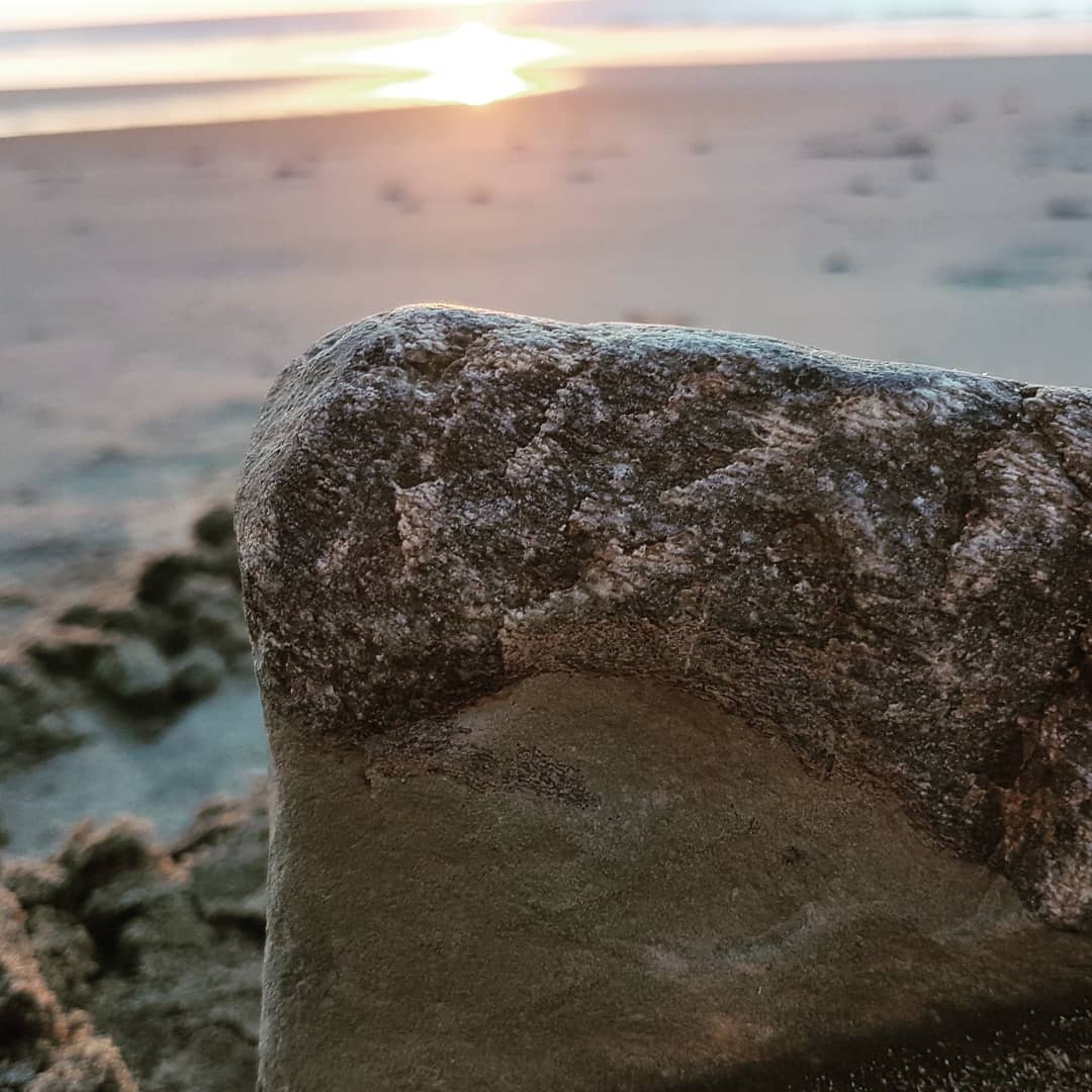 Fossil whale bone at sunrise, makes the 4am wake-up worth it. Was a beaut of a morning! 🐋🐋🐋         