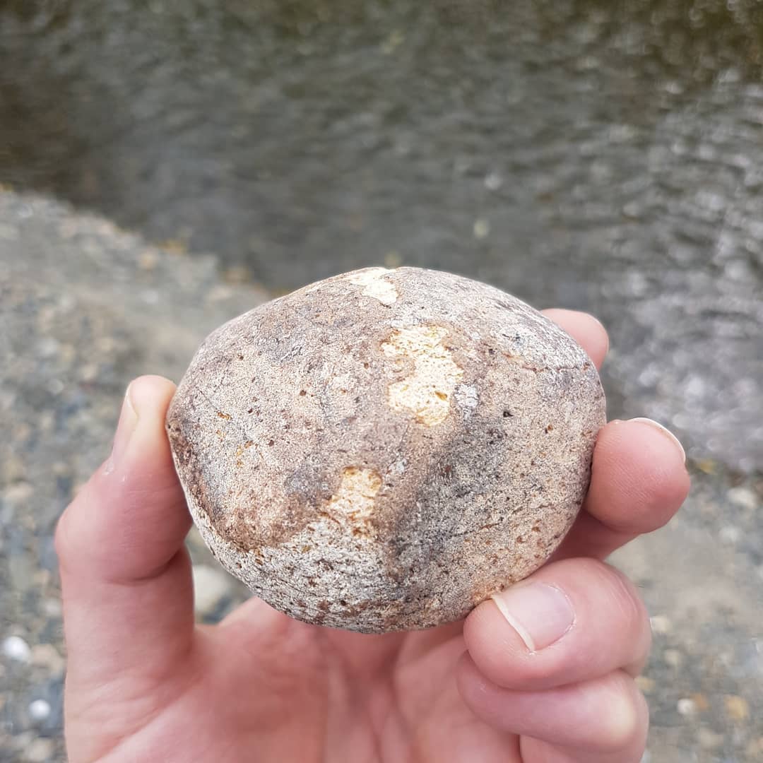 I suspect this is a piece of fossil bone. I'm hoping someone could give me some clue as to what it could be from. Area is cretaceous but also has earlier formations  close by. Any one want to hazard a guess?

          