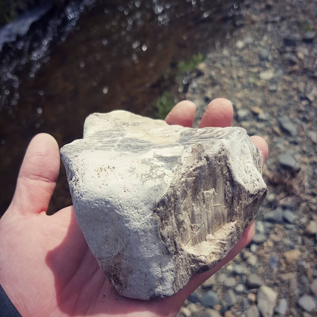 Nice chunk of cretaceous era petrified wood from a North Canterbury stream. Shows some good detail in the wood fibre and also nicely agatised sections.

         