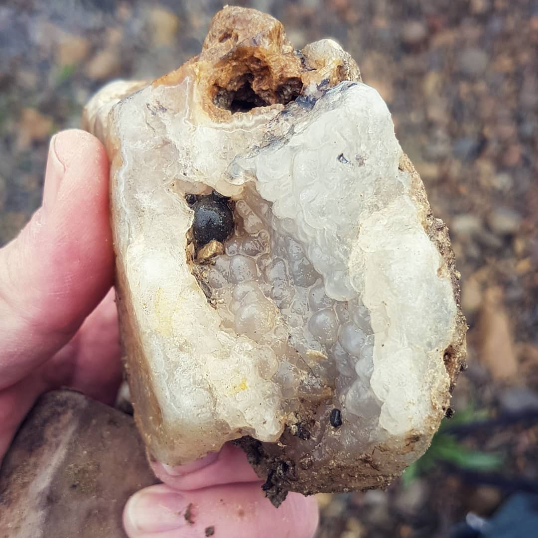 My biggest North Canterbury agate by far. Found it in one of my local rivers in the rain today. Also my first botryoidal agate!

What a beauty!

         