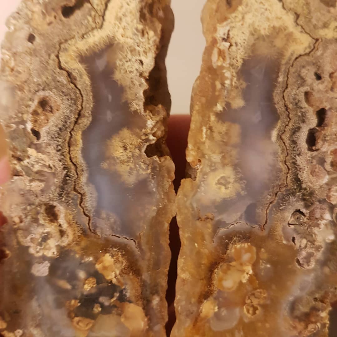 All sorts of things happening in this agate! This is the only one I have found in the Canterbury basalt formations and has some metal inclusion and sprays.

Everytime I look at it I see something new 😁 Scroll for more pics.

            