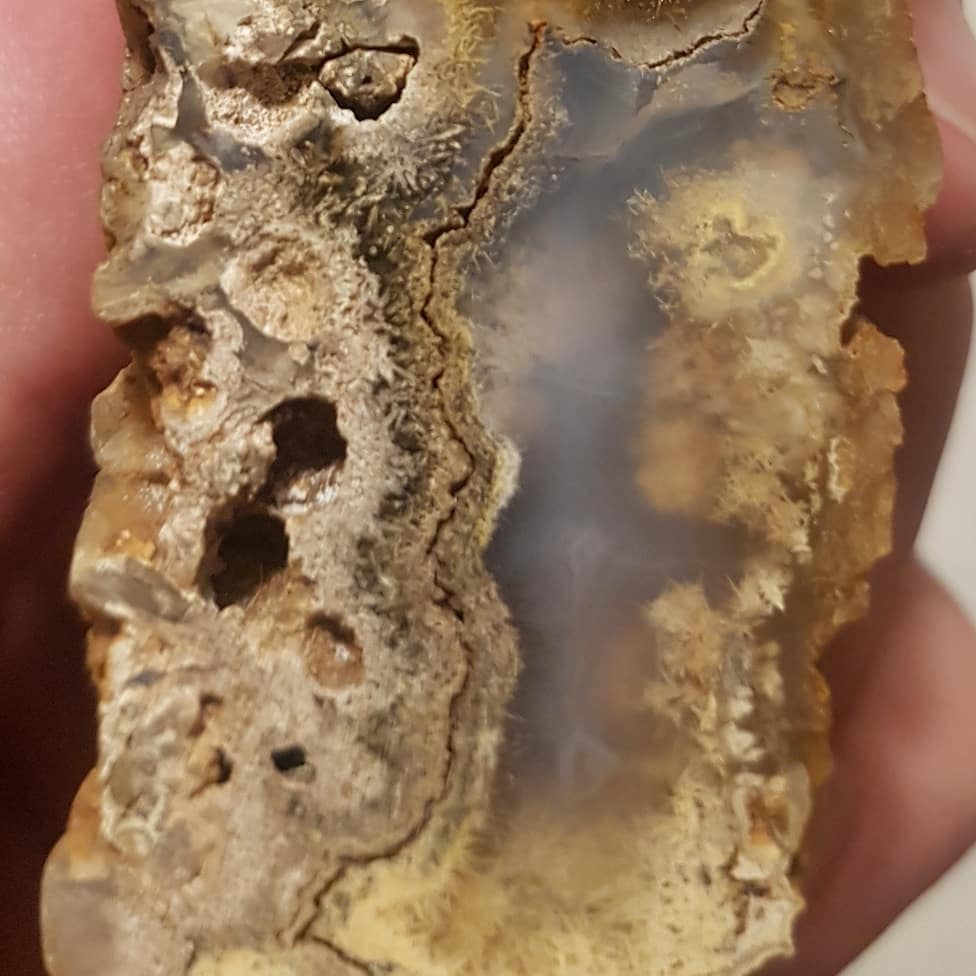 All sorts of things happening in this agate! This is the only one I have found in the Canterbury basalt formations and has some metal inclusion and sprays.

Everytime I look at it I see something new 😁 Scroll for more pics.

            