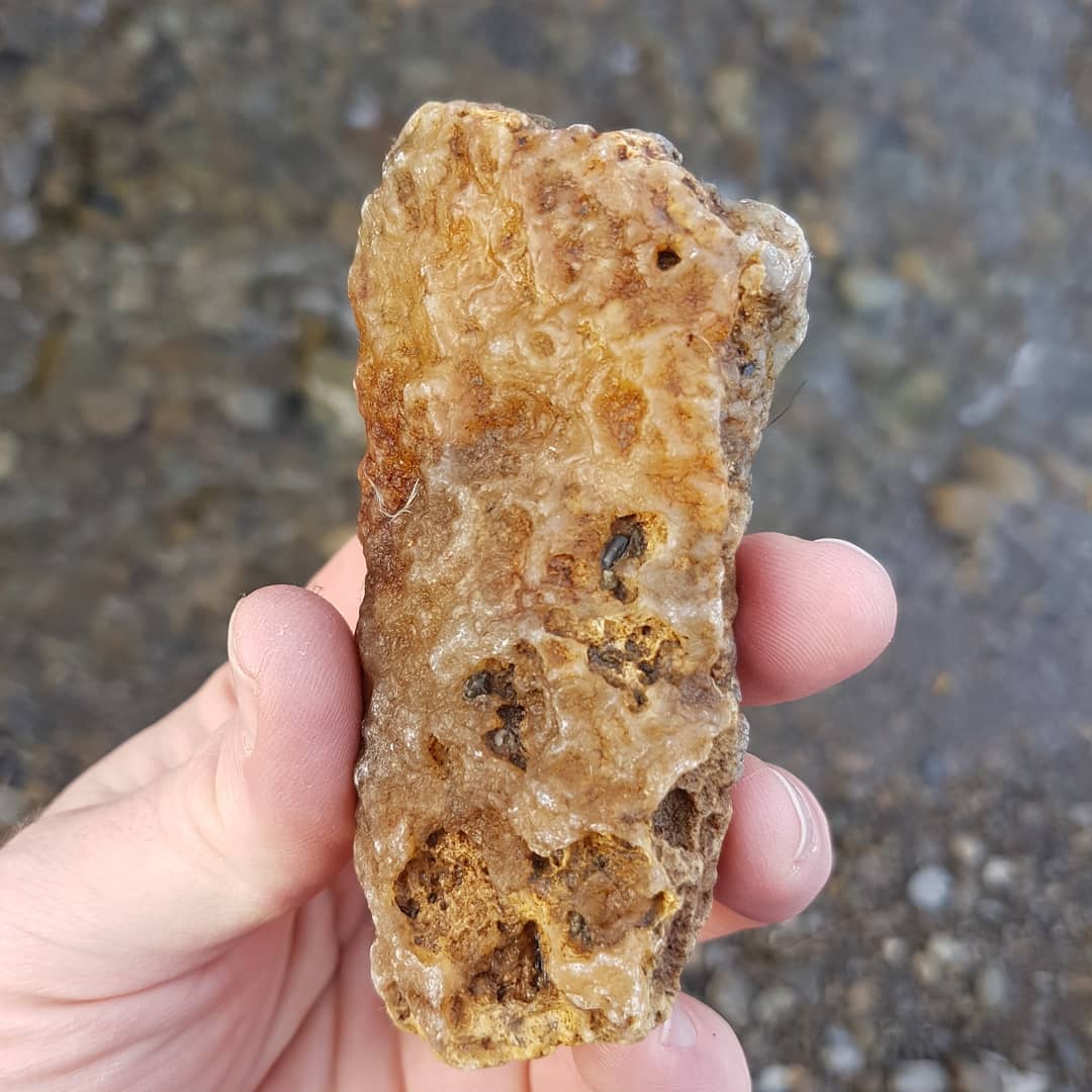 All sorts of things happening in this agate! This is the only one I have found in the Canterbury basalt formations and has some metal inclusion and sprays.

Everytime I look at it I see something new 😁 Scroll for more pics.

            