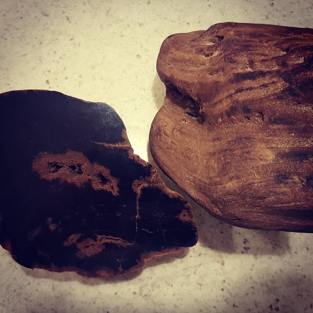 My piece of Waipara petrified wood has been cut and polished. Growth rings look amazing! Excited to go find me some more 😁

            