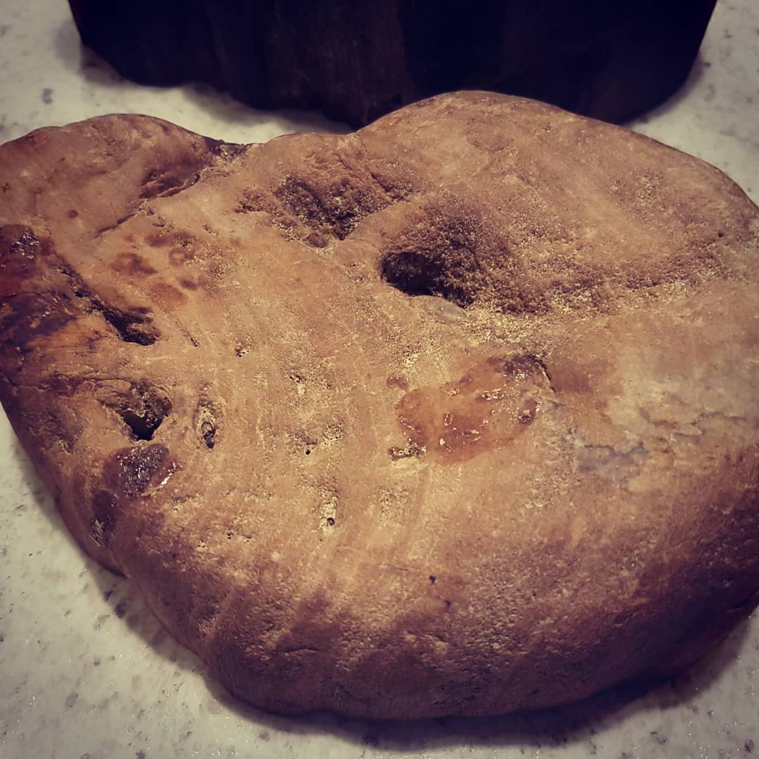 My piece of Waipara petrified wood has been cut and polished. Growth rings look amazing! Excited to go find me some more 😁

            