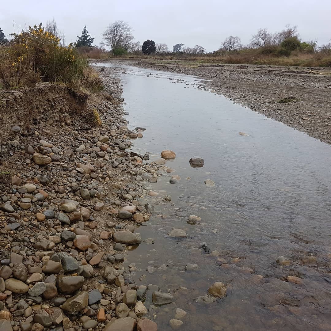 Rainy day petrified wood hunt on the Kawai river. Found one tiny piece and not much else. Good to be out and about though! 
        