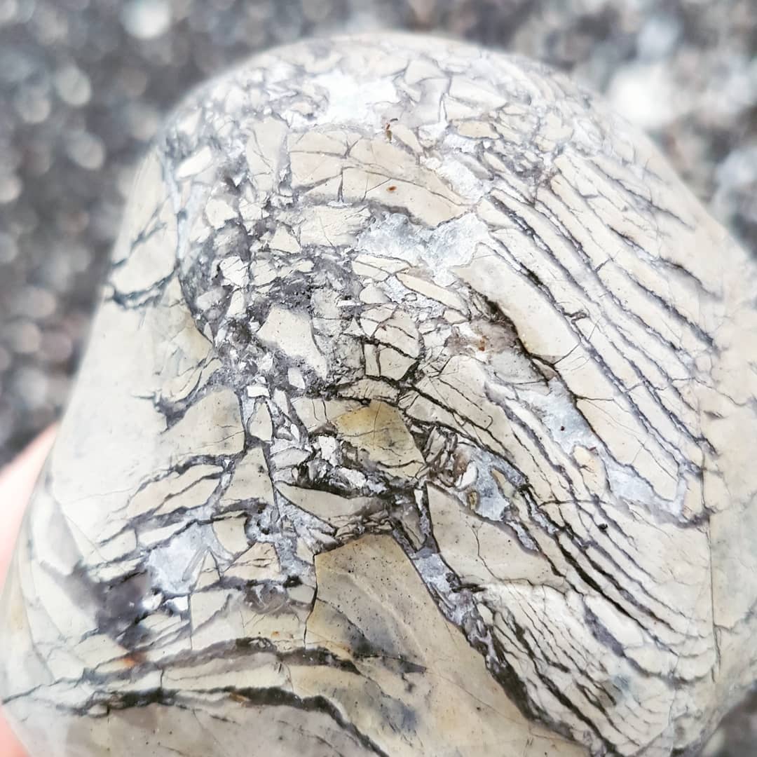 An interesting rock I found on the Kaikoura coastline last weekend. Not sure if it's some form of flint or jasper that is brecciated. Let me know in the comments if you have any idea please 😁

             